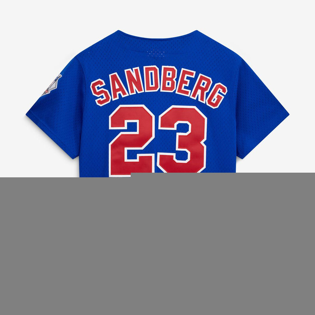 Ryne Sandberg Chicago Cubs Mitchell & Ness Cooperstown Collection 1997 Mesh Batting Practice Button-Up Jersey - Royal